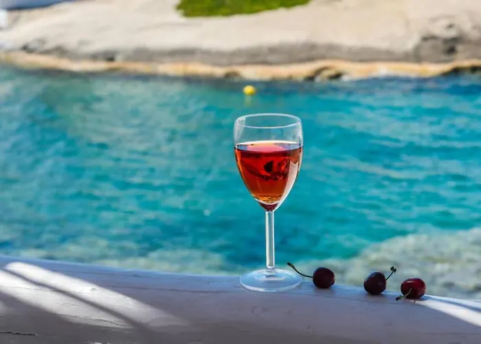 Anemosyrma Σπίτι διακοπών